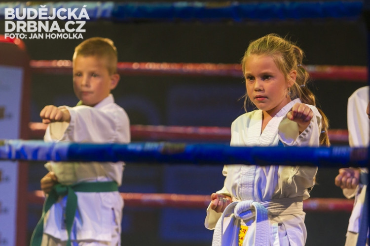 Pardál Gladiators Night 2013