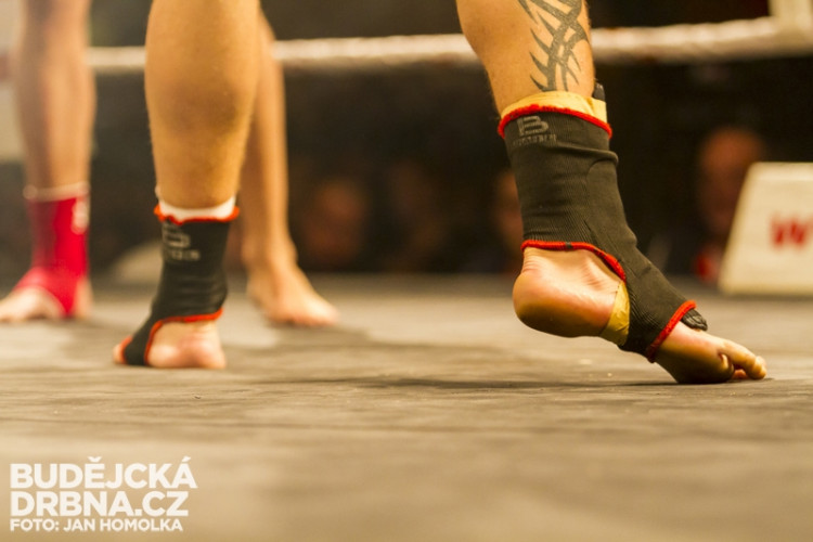 Pardál Gladiators Night 2013