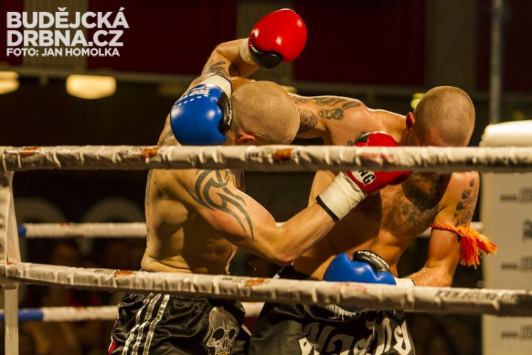 Pardál Gladiators Night 2013