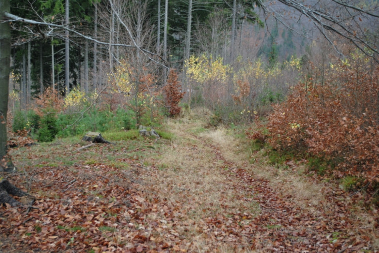 Ve směru od lomu začínají problémy tady, cesta jde najednou prudce dolů