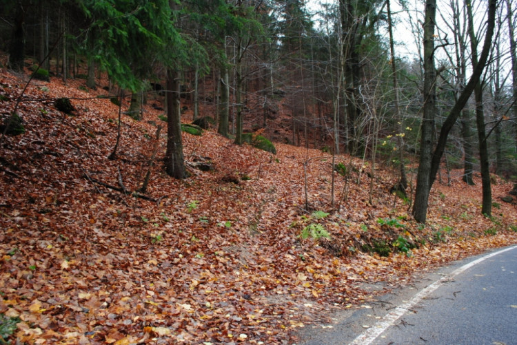 Tudy nahoru má silnice vést