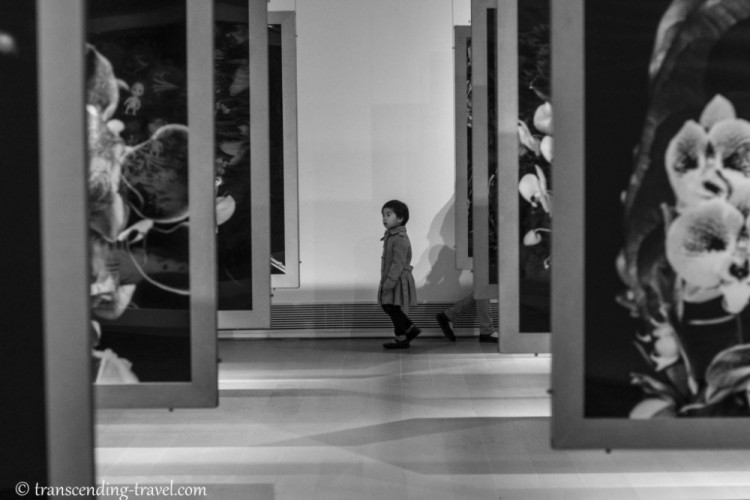 Transcending-Travel.com