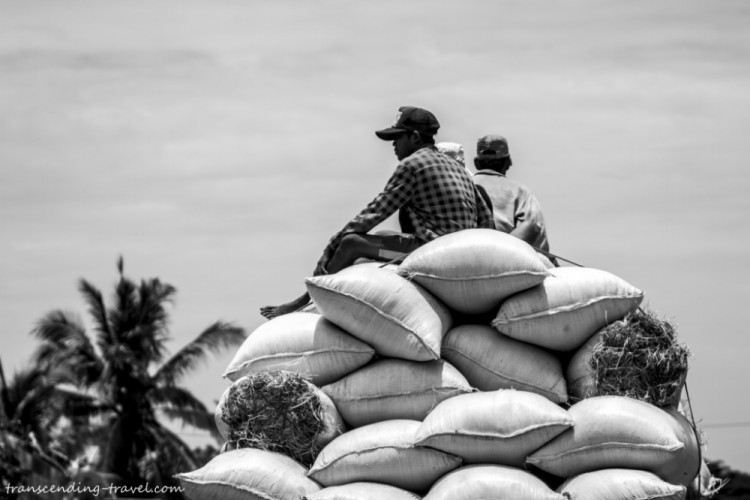 Transcending-Travel.com