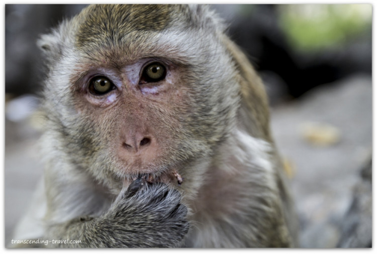 Transcending-Travel.com