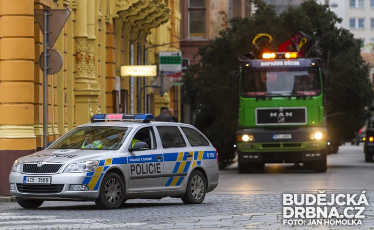 Stavění vánočního stromu na náměstí Přemysla Otakara II.