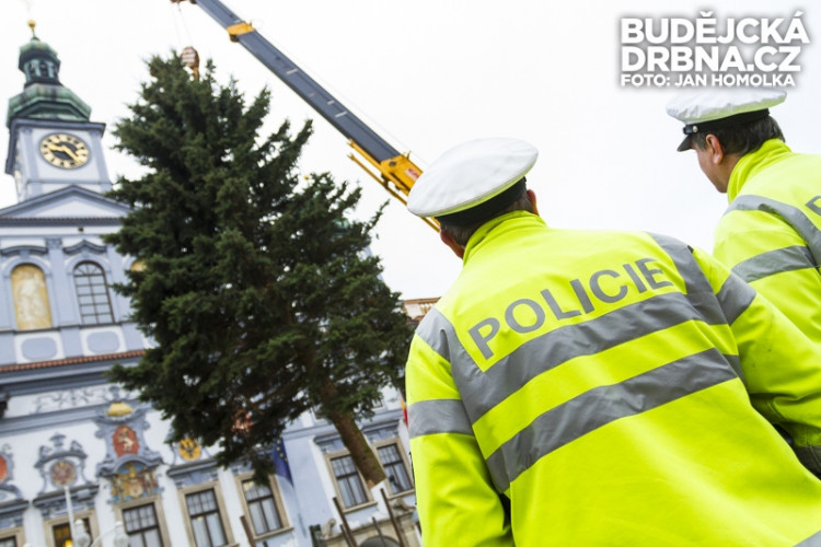 Stavění vánočního stromu na náměstí Přemysla Otakara II.