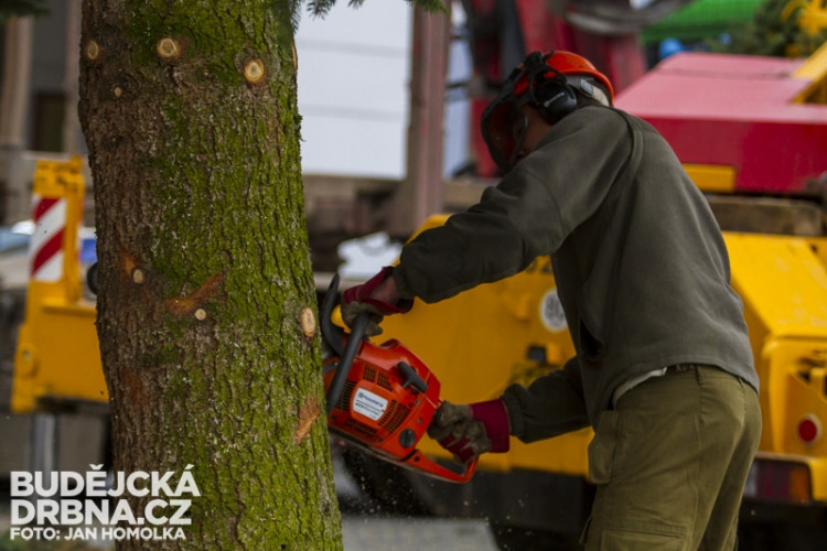 Stavění vánočního stromu na náměstí Přemysla Otakara II.