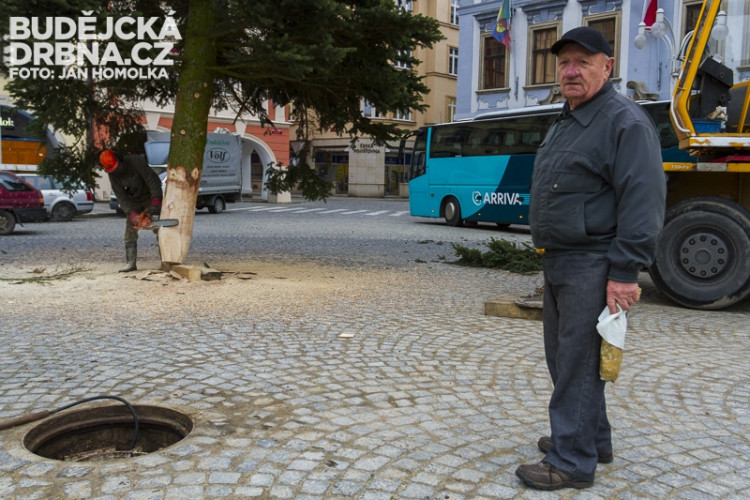 Stavění vánočního stromu na náměstí Přemysla Otakara II.