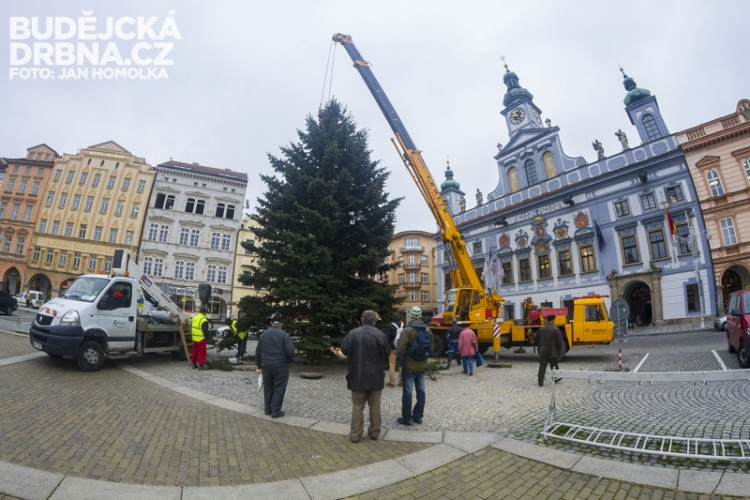 Stavění vánočního stromu na náměstí Přemysla Otakara II.