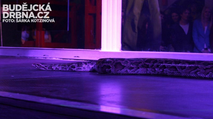 Finálový večer Miss VŠTE 2013