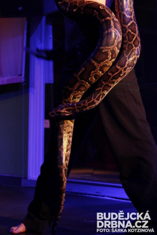 Finálový večer Miss VŠTE 2013