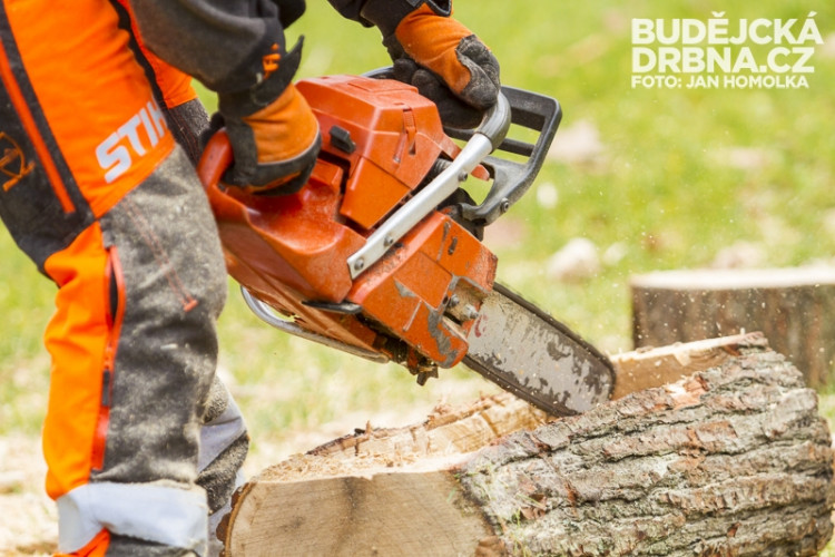 Vzdělání a řemeslo 2013