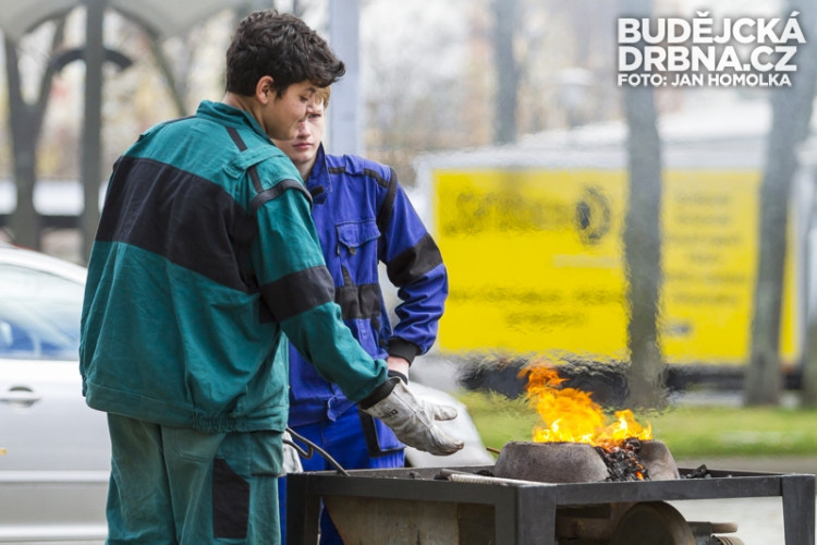 Vzdělání a řemeslo 2013