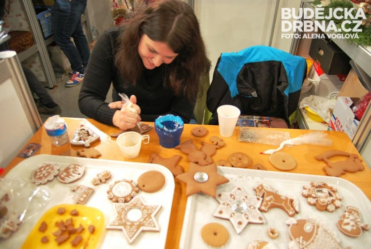 Studenti střední školy předváděli, co se naučili