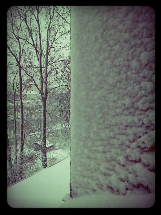 Foto: Martin Vojáček