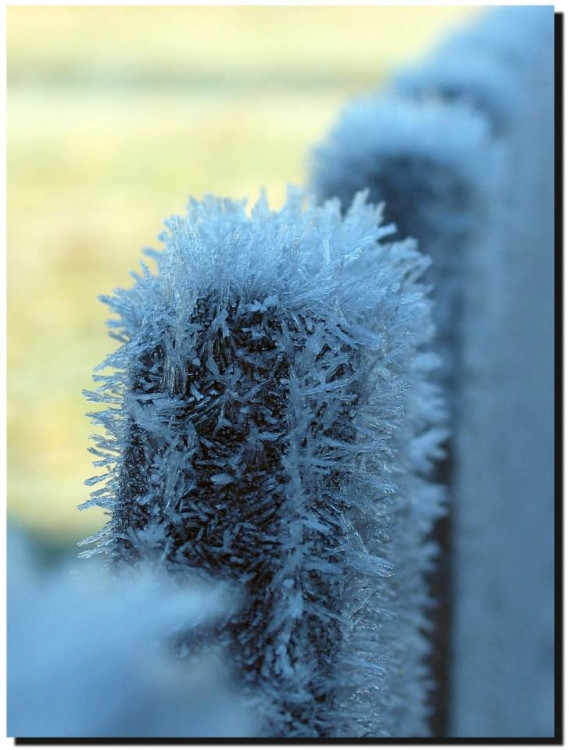 Foto: Jaroslav Demčák