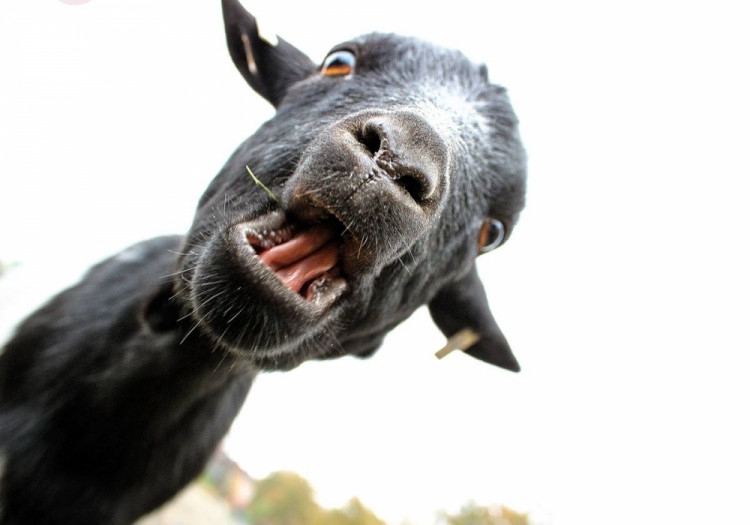 Soutěžní práce budějckých studentů fotografů