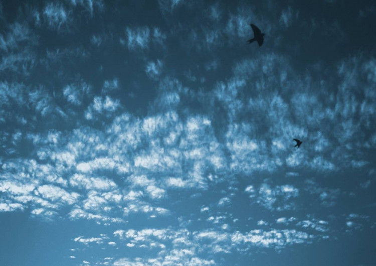 Soutěžní práce budějckých studentů fotografů