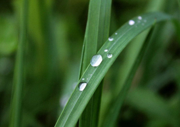 Soutěžní práce budějckých studentů fotografů