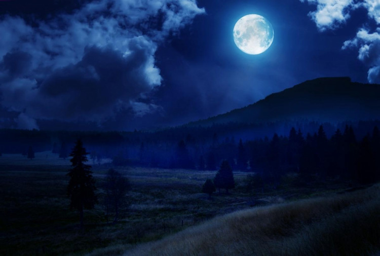 Soutěžní práce budějckých studentů fotografů