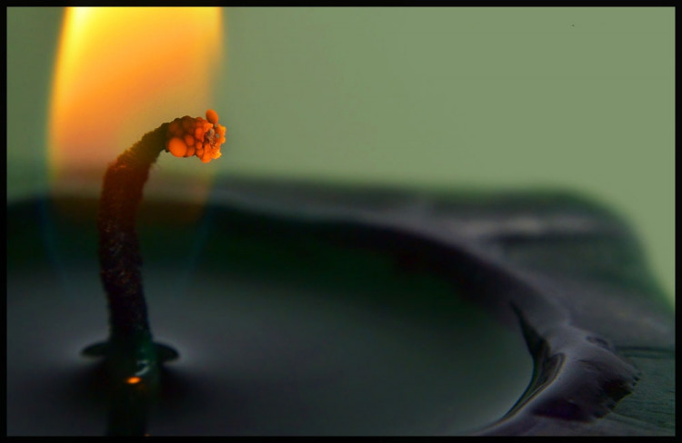 Soutěží E. Mondlová