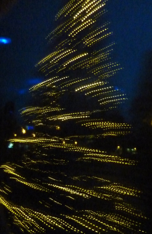 Soutěží Světla Zemanová