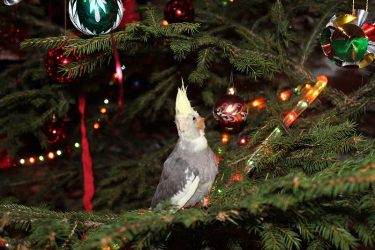 Soutěží Barbora Machová