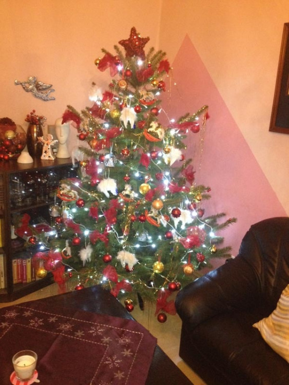 Soutěží Jana Dolejšová