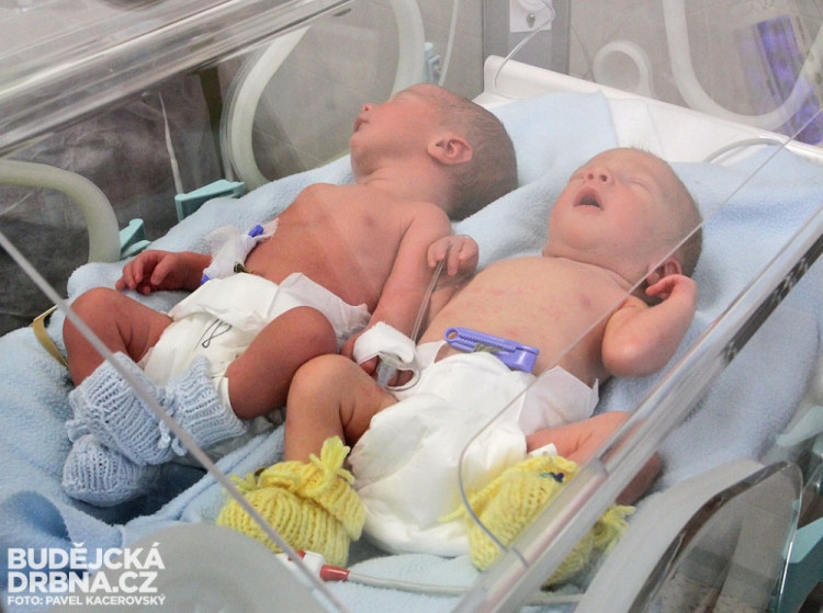 Deniel a Dominik (zprava) Fošumovi z Římova jsou prvními jihočeskými miminky roku 2014