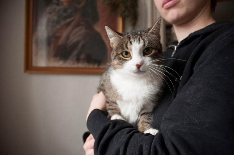 Jahoda - Žila na ulici i se svými mláďaty. K dočaskářovi se dostala nemocná, ale teď už je v pohodě. Je plašanka, ale na nového páníčka si určitě zvykne.