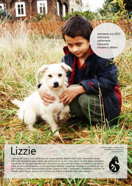 Lizzie - od rodiny už musela dvakrát, tak snad do třetice se to už povede. Nedělají jí problém cizí psi, je čistotná a hravá.