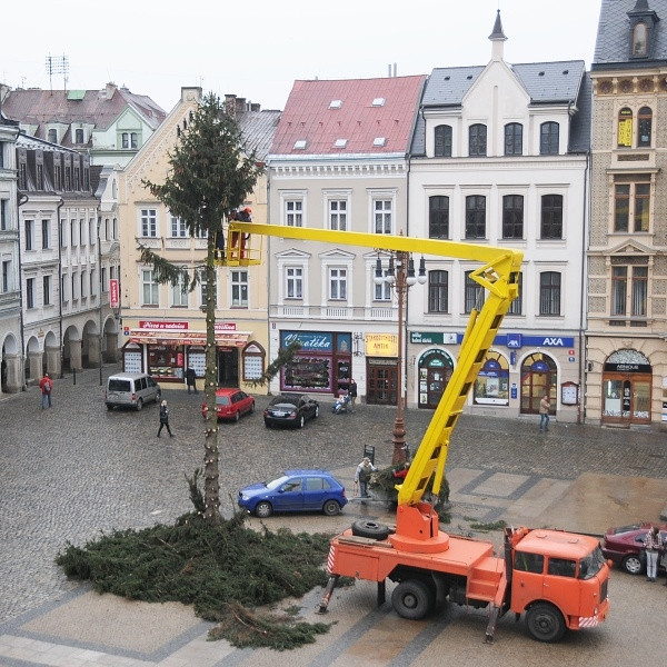 Likvidace vánočního stromu