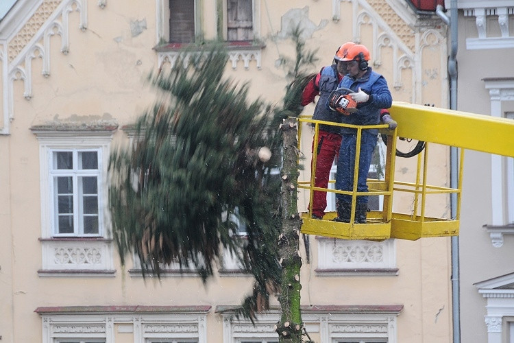 Likvidace vánočního stromu