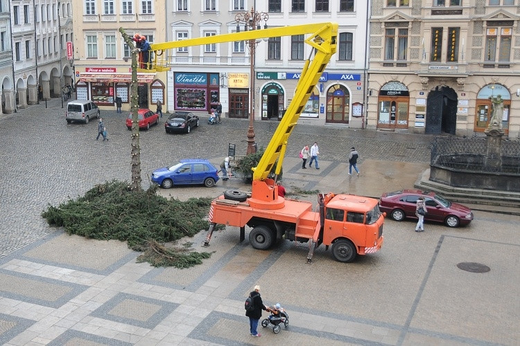 Likvidace vánočního stromu