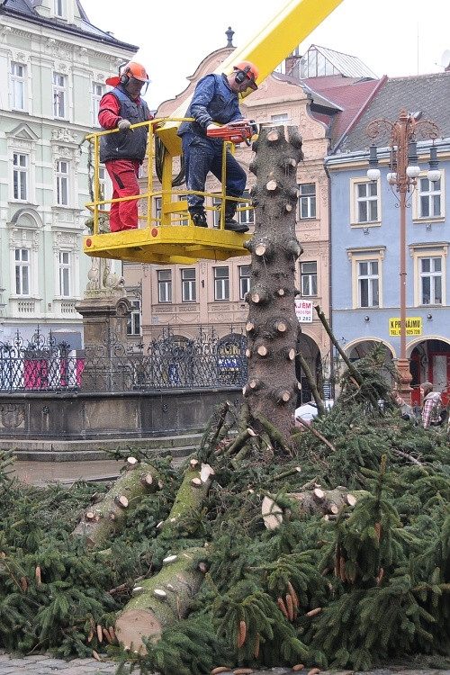 Likvidace vánočního stromu