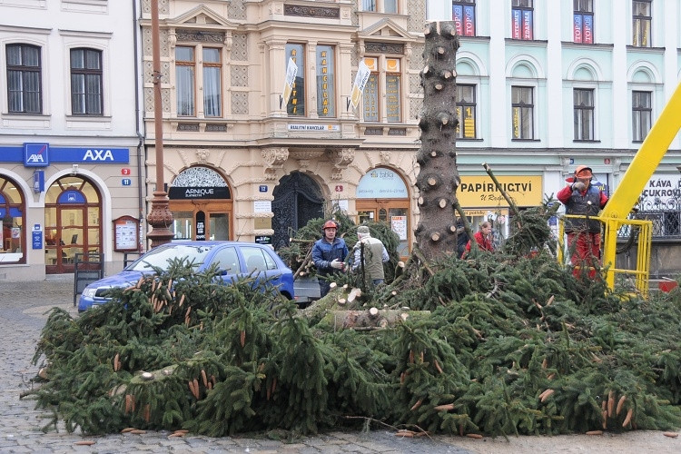 Likvidace vánočního stromu