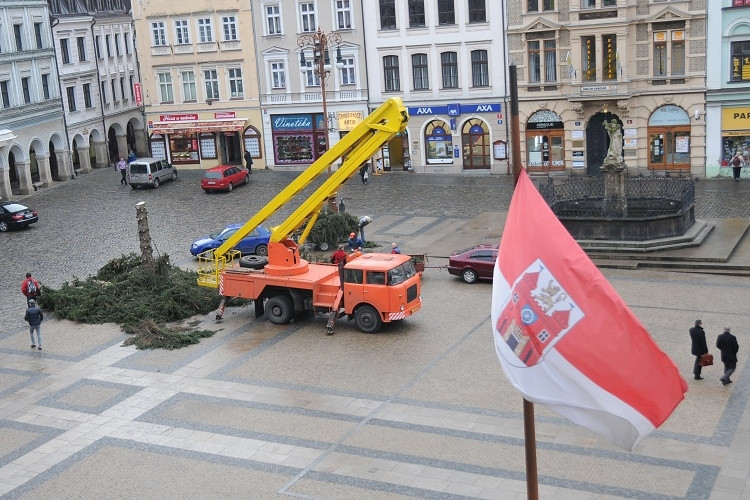 Likvidace vánočního stromu