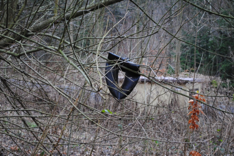 Duše při pohledu krvácí, duše visí ve větvích náletových dřevin