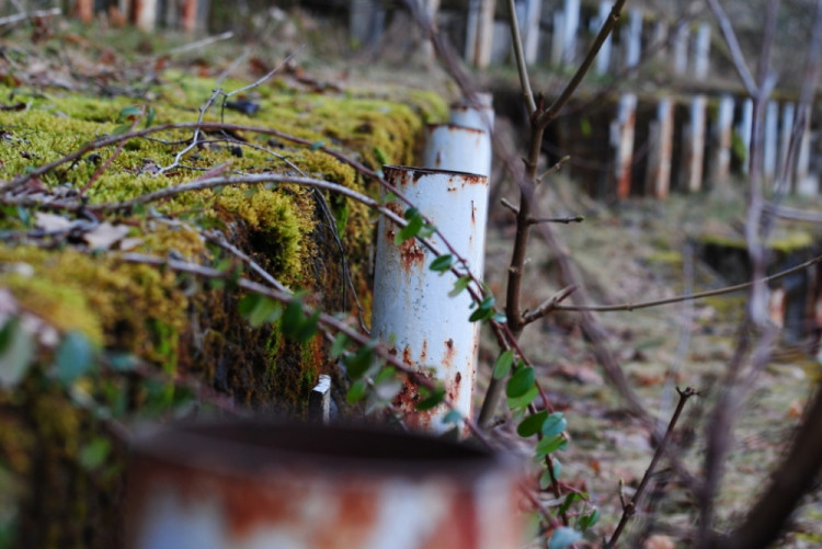 Do trubek se uchytila střešní konstrukce