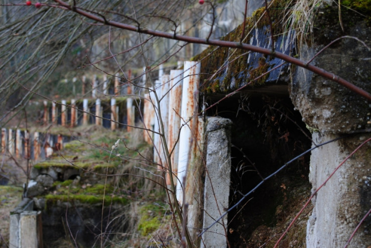 Do trubek se uchytila střešní konstrukce