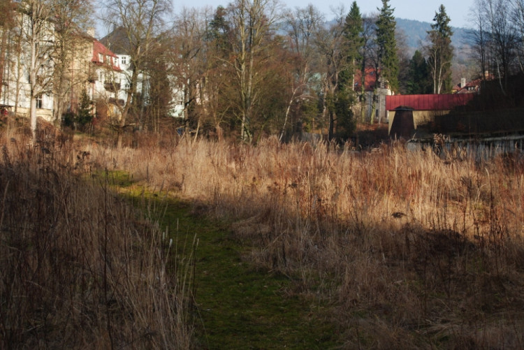 Teď je tu vyšlapaná cestička