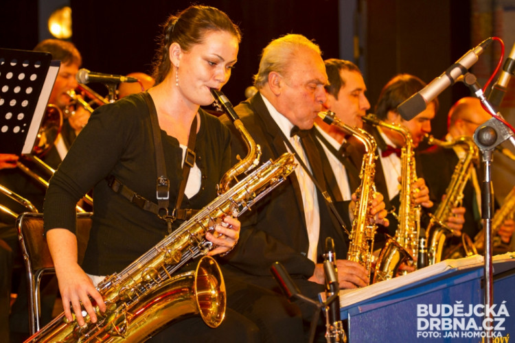 Reprezentační ples Jihočeské univerzity 2014