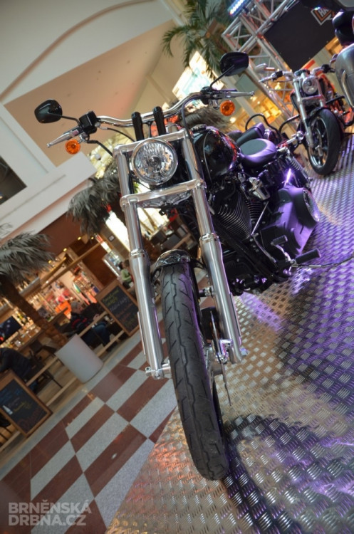 Svět motocyklů 2014, foto: Brněnská Drbna, Hana Mikešová