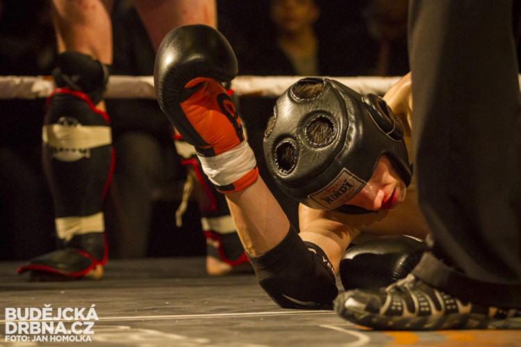 Otevřené mistrovství České republiky v MMA a Muay Thai