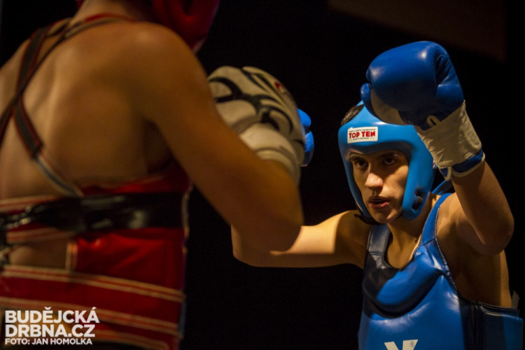 Otevřené mistrovství České republiky v MMA a Muay Thai