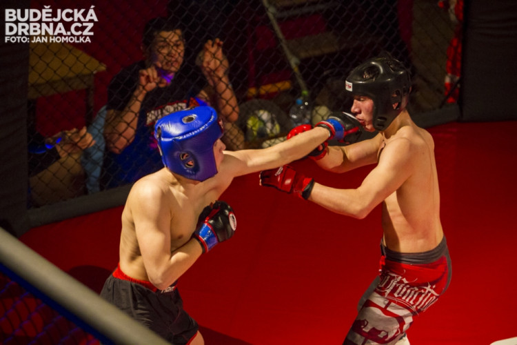 Otevřené mistrovství České republiky v MMA a Muay Thai