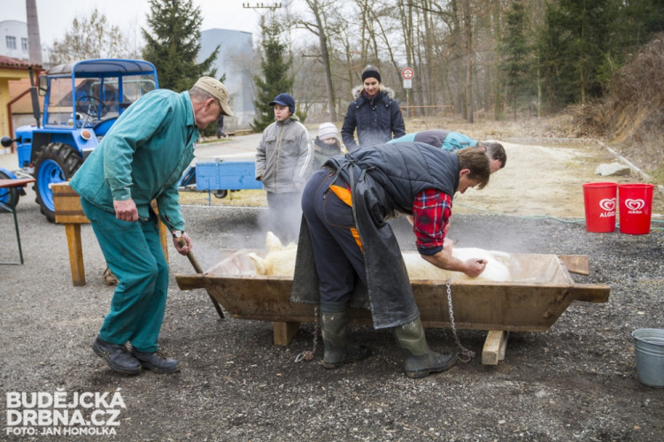 Masopust spojený se zabíjačkou v Boršově nad Vltavou