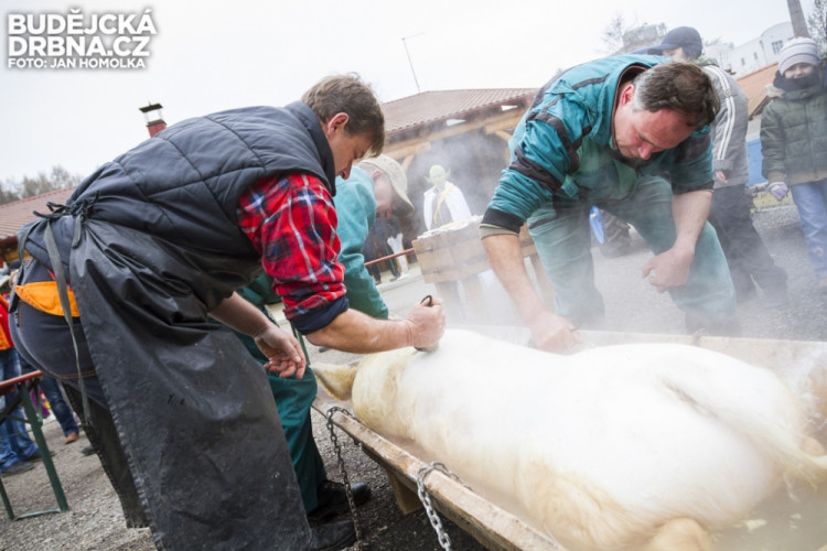 Masopust spojený se zabíjačkou v Boršově nad Vltavou