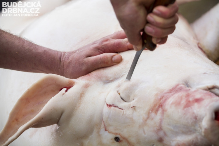 Masopust spojený se zabíjačkou v Boršově nad Vltavou