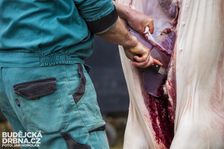 Masopust spojený se zabíjačkou v Boršově nad Vltavou